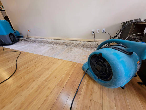Professional Basement Flood Cleanup technician working in Warsaw, IN